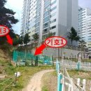 초당동-4 이미지