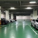 제일골프스쿨 이미지