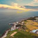 유니 풀빌라 이미지