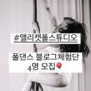 앨리캣폴스튜디오 이미지