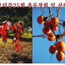 보덕중학교 이미지