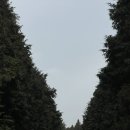 야원목장 이미지