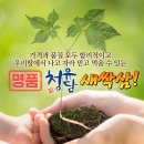 청유담 네이버블로그