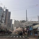 대지약국 이미지