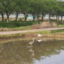 동신세차장 이미지