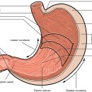 조한의원 네이버블로그