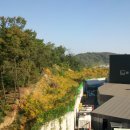 방울산등산로 이미지