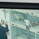 개금동물병원 | 부산 개금 닥터펫 동물 의료센터 건강검진 후기 (+비용)