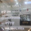 댕댕반점 이미지