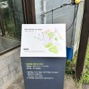 숲 | 성산읍 가볼만한곳 김정문알로에숲 후기