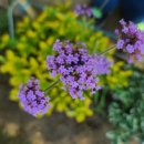 버들어린이공원 이미지