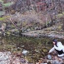 다시오다스테이 이미지