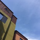 올리브타운 이미지