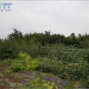 더과수원 이미지