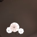 향기플라워 이미지