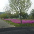 성주가천우체국 이미지