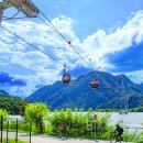 개나리카써비스 이미지