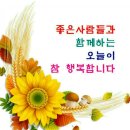 아모레카운셀러 - 2262 | 아모레카운셀러