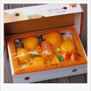 감귤10kg 소과15,000원🍊로얄과21,000원🍊판매 합니다. 이미지