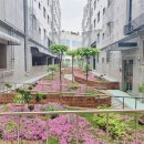 로제트힐 이미지