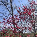 (주)원엔지니어링 | 3개월만에 또 간 충북 충주 깊은산속옹달샘 | 내돈내산 아쉬움 후기 |웰니스 여행 봄날애 자연명상 4인...