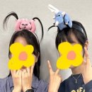 다원 이미지