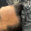 채오름SMP 이미지