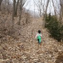 야생초마을아미골 이미지