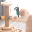 도그트리 이미지