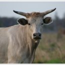 기쁜마음치과의원 이미지