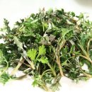 오행쑥뜸방 이미지