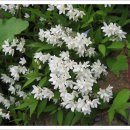 청곡사주차장 이미지