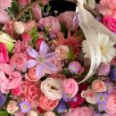 춘천 프로포즈 이미지