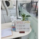 바이진네일 이미지
