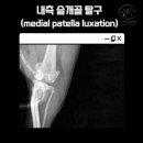 삼화 우수한동물병원 이미지