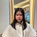 501 미장원 이미지
