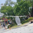 괴정1동-7 이미지