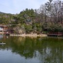 꽃마을로 이미지