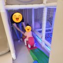 우리끼리 키즈카페 스포츠마을 광교1호점