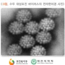 서울진마취통증의학과의원 이미지