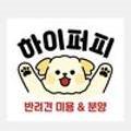 부산강아지분양 하이퍼피 이미지
