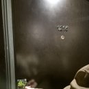 오늘 호텔 | 부산 해운대 숙소 '부산 파라다이스 호텔' 내돈내산 조식 후기