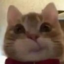 성수농협 이미지