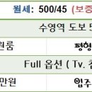 수영시티약국 이미지