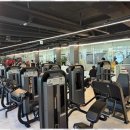 드래곤짐 이미지