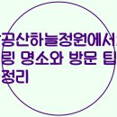 하늘정원 이미지
