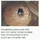 참새농장 이미지