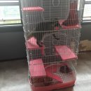 맨앤독 애견카페 이미지