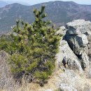 정이든빌딩 이미지