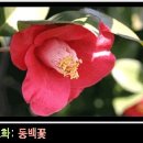 하단초등학교 이미지